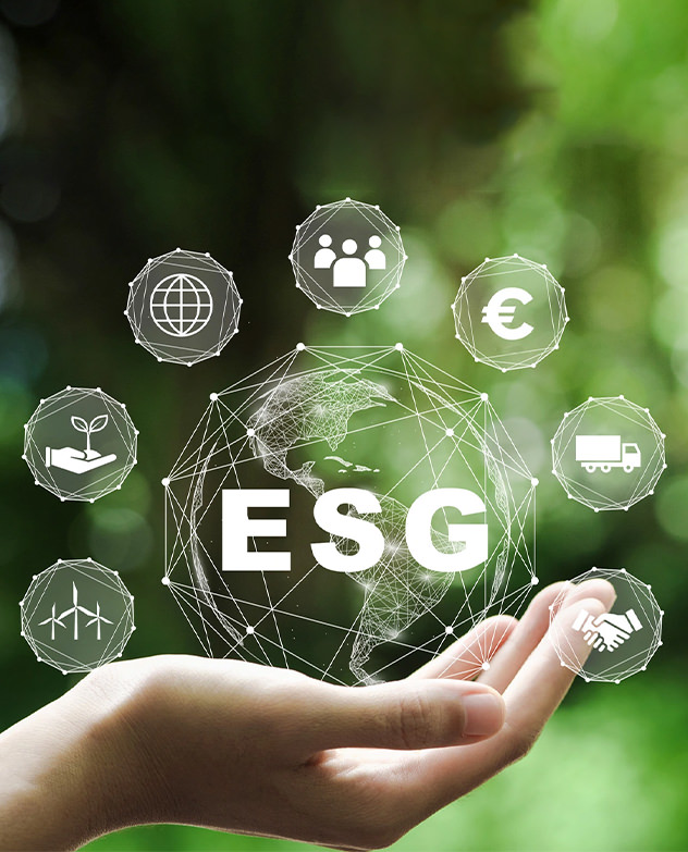 efficienza italia certificazione esg impatto ambientale sociale governance